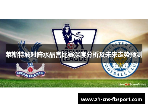 莱斯特城对阵水晶宫比赛深度分析及未来走势预测