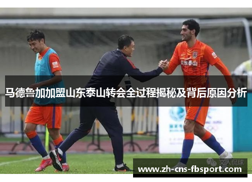 马德鲁加加盟山东泰山转会全过程揭秘及背后原因分析 马德鲁加加盟山东泰山转会全过程揭秘及背后原因分析