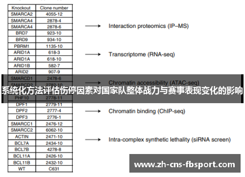 系统化方法评估伤停因素对国家队整体战力与赛事表现变化的影响
