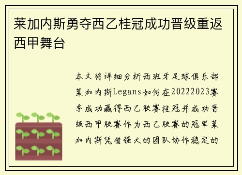莱加内斯勇夺西乙桂冠成功晋级重返西甲舞台